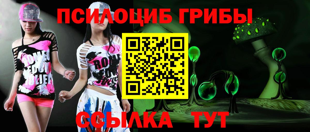 Галлюциногенные грибы GOLDEN TEACHER Петропавловск-Камчатский