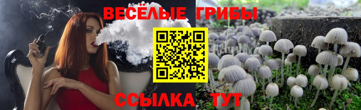 Галлюциногенные грибы Magic Shrooms  купить наркотик  Петропавловск-Камчатский  Псилоцибиновые грибы прущие грибы  Вход с VPN 